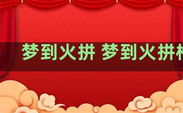 梦到火拼 梦到火拼枪战